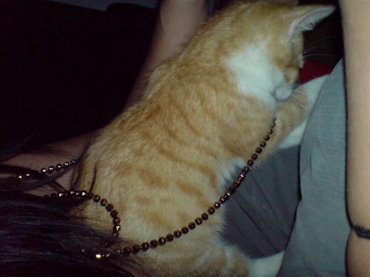 Huskat Hugo - mors halskæde er os sjov ;) billede 7