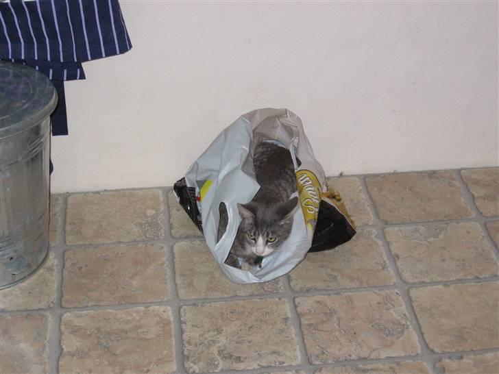 Huskat compani (SOLGT) - nogle gode ting her inde.. billede 1