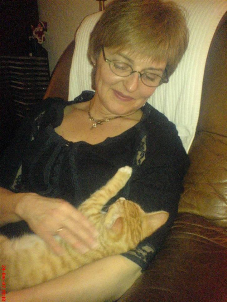 Blanding af racer Mikkel - Her sidder min mor med Mikkel, juleaften (; billede 2