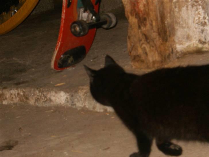 Blanding af racer Marie - Jeg lister mig ind på den store farlige fodbold !<3 billede 18