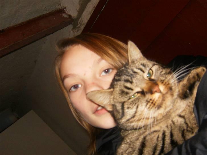 Blanding af racer Berta - Sååå afslappende at blive nusset med :D billede 12