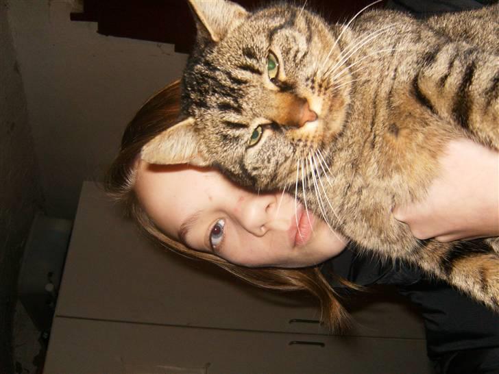 Blanding af racer Berta - (:<3 billede 14