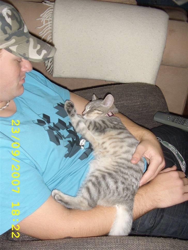 Huskat Mizzi billede 20