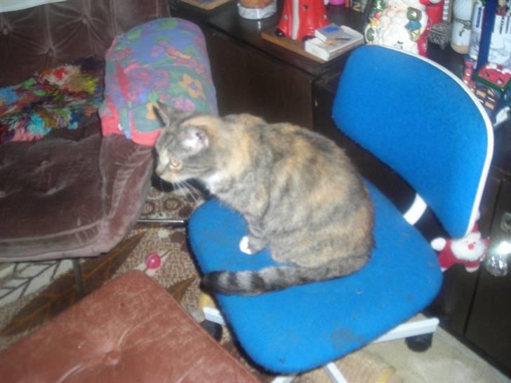 Huskat skælle  billede 4