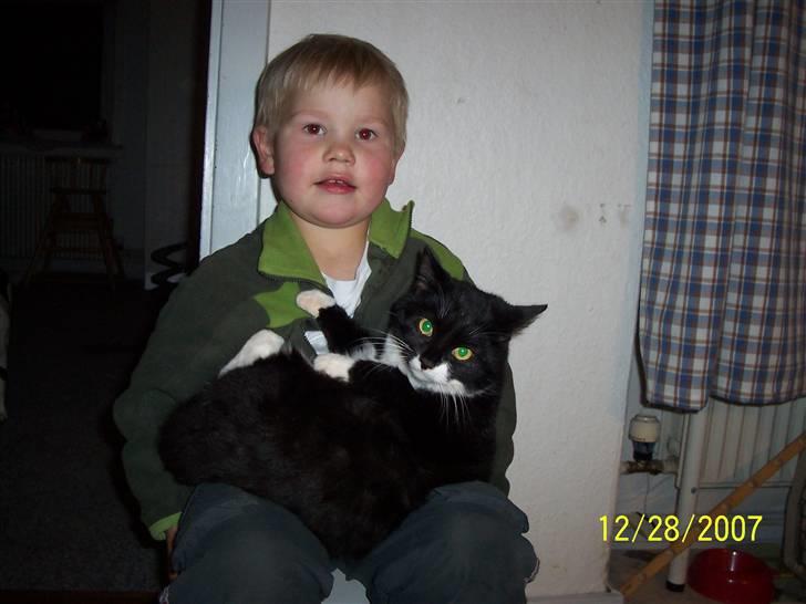 Huskat Lucky - Hinandens allerbedste venner.. billede 4