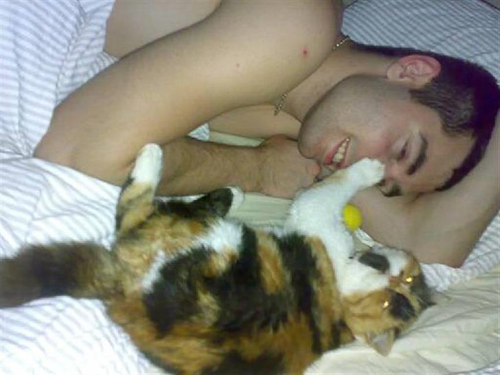 Exotic Thilde billede 9