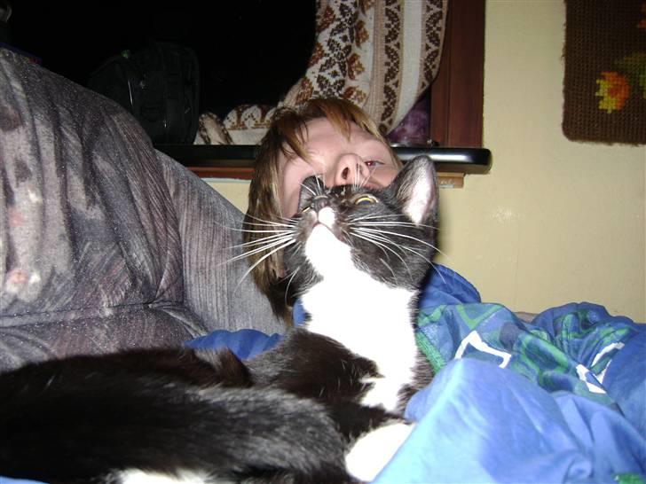 Huskat Sorte DØD - nåre min Heidi sedder og snakker med mig. Fotograf Heidi billede 7