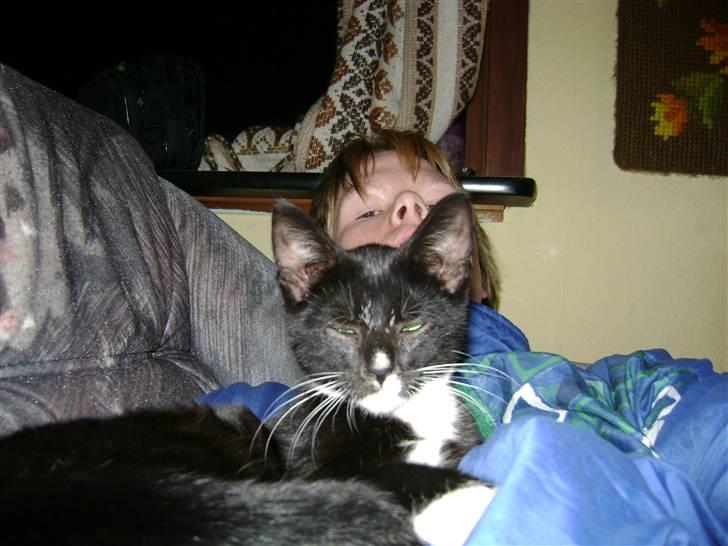 Huskat Sorte DØD - ha der er du desvære4 blivet snyt. Fotograf Heidi billede 8