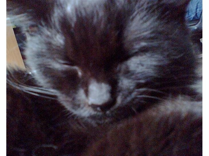 {{currentPhoto.altText}} billede {{currentPhoto.number}}