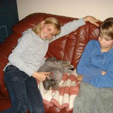 Huskat Gråmis (oude)