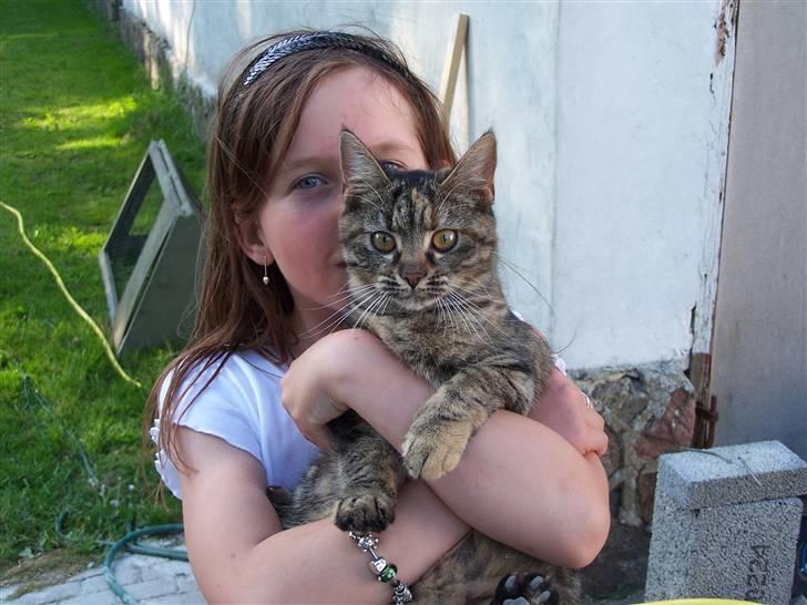 Huskat Fiona/Bettemis :D - hej og velkommen til min profil billede 1