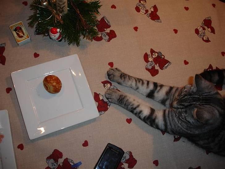 Blanding af racer Brede - Ohhh.. kan ikke nå. billede 11