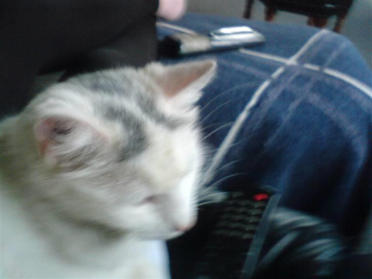 Huskat Angel - jeg vil sov! billede 12