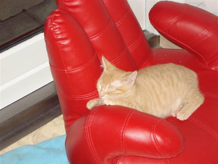 Huskat Balder - Shhhhhhh !  billede 14