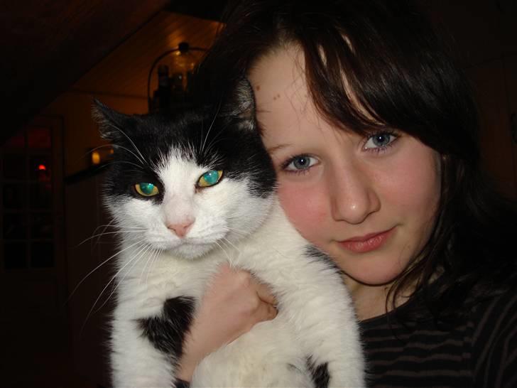 Huskat M I M I :D  - miig og mimi :D billede 8