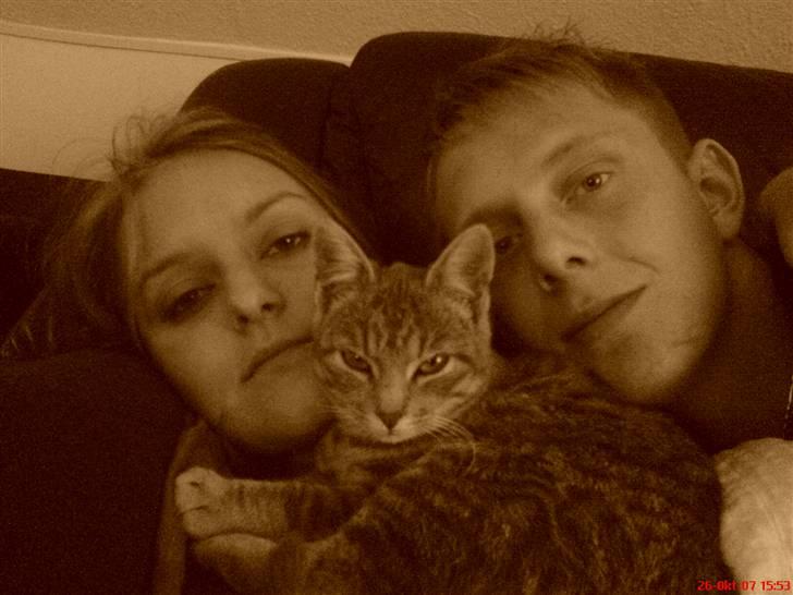 Huskat Clea billede 2