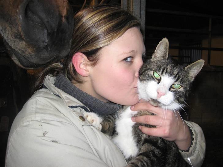 Blanding af racer Fede Mis R.I.P. - Katja kysser Lille Mis <3 billede 18