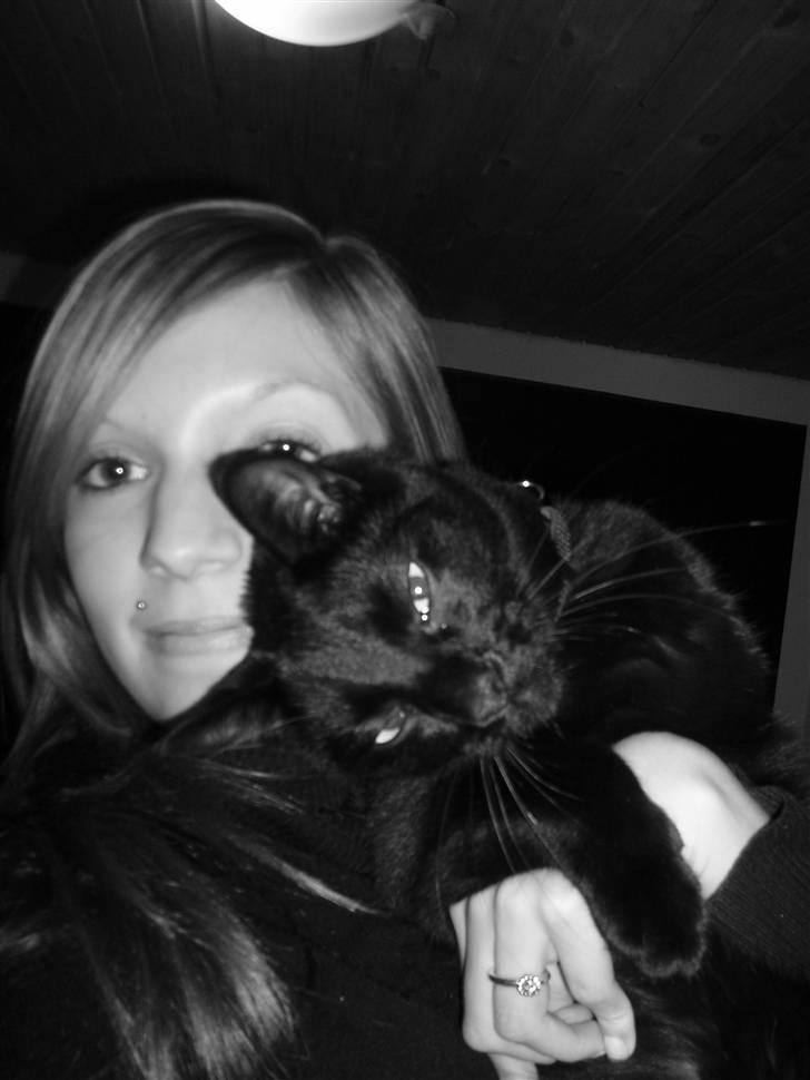 Huskat Kamper - Kamper og moster Helene, total perls <3 billede 3