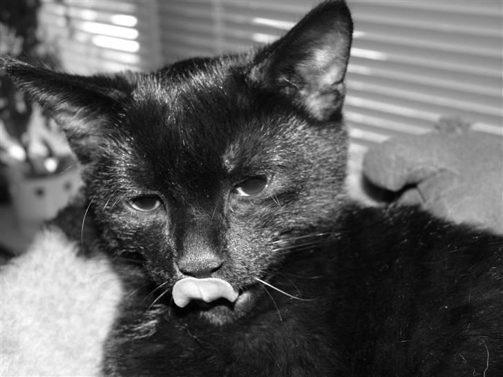 Huskat Thor - gider du lige? jeg var faktisk ved at vaske mig.. billede 11