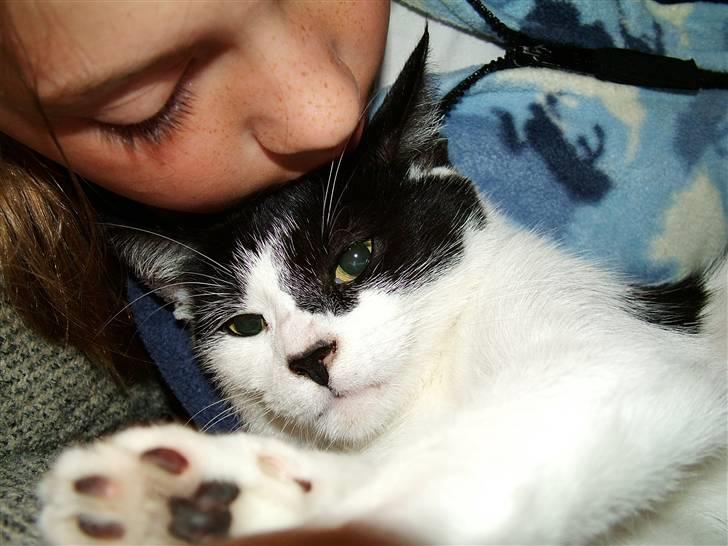 Huskat Molly - ren kærlighed billede 14