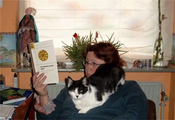 Huskat Molly - dengang Molly hjalp med lektielæsning billede 17