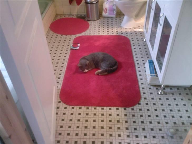 Huskat compani (SOLGT) - dejlig ny måtte... billede 11