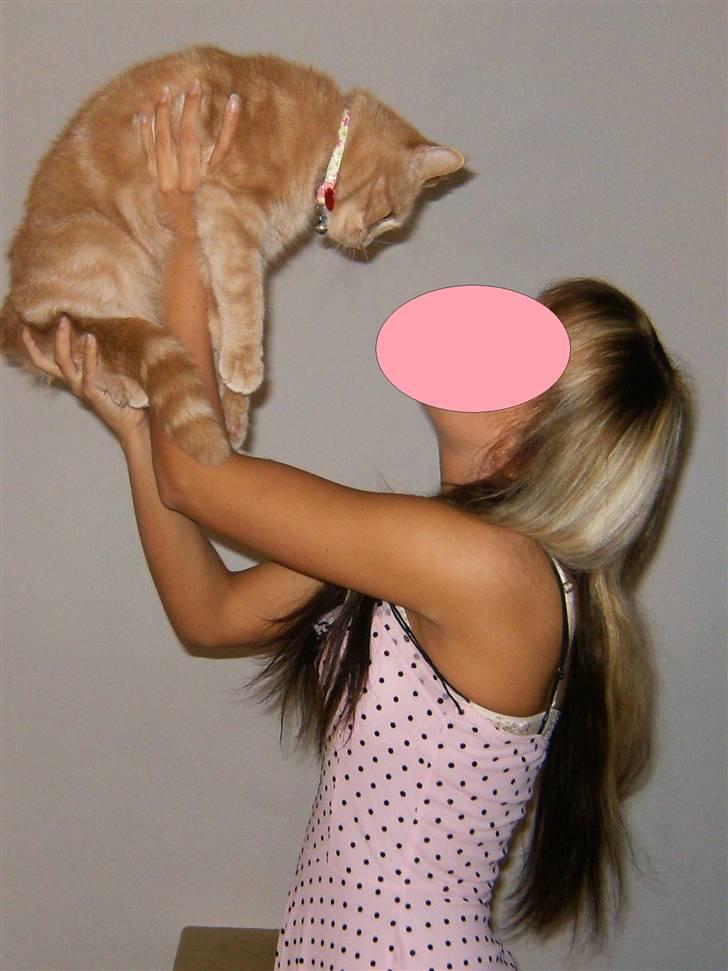 Huskat culo billede 15