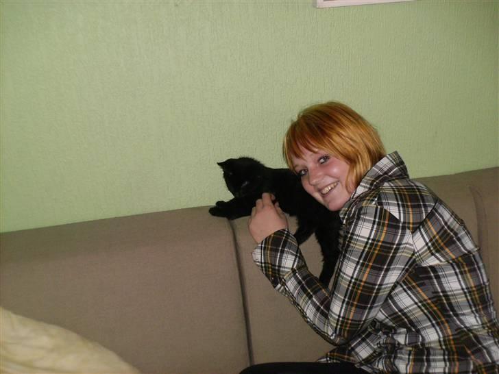 Blanding af racer Laban billede 3