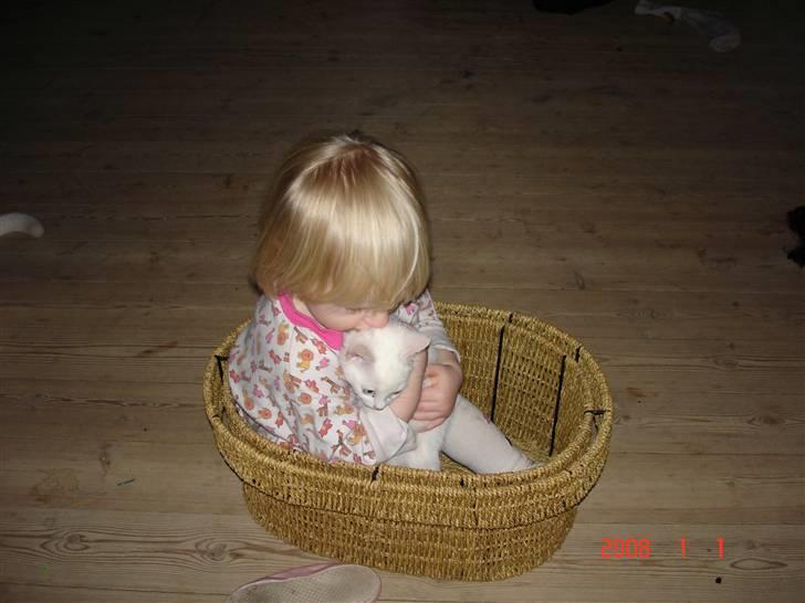 Huskat TILDE DØD billede 7