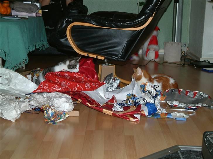 Huskat Findus <3 billede 8