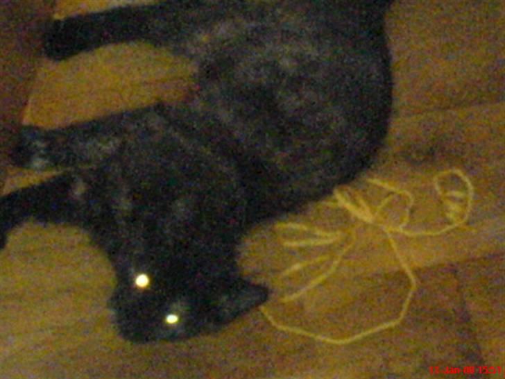 Huskat ¤*~~Fie~~*¤ billede 4