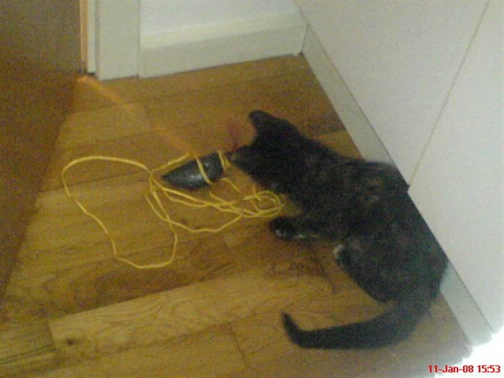 Huskat ¤*~~Fie~~*¤ billede 6