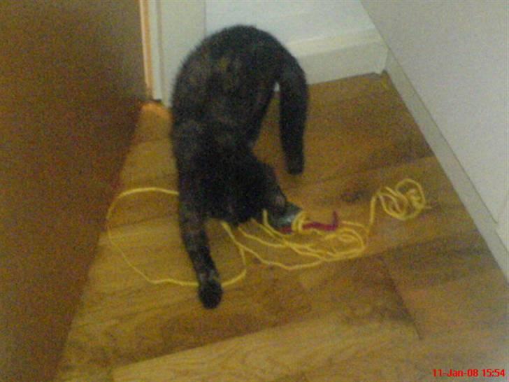 Huskat ¤*~~Fie~~*¤ billede 7