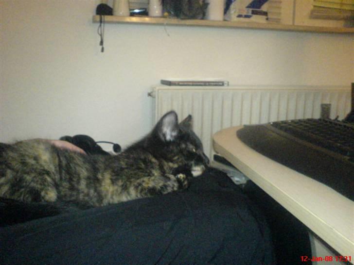 Huskat ¤*~~Fie~~*¤ - Jeg ligger hos min mor <3 billede 12