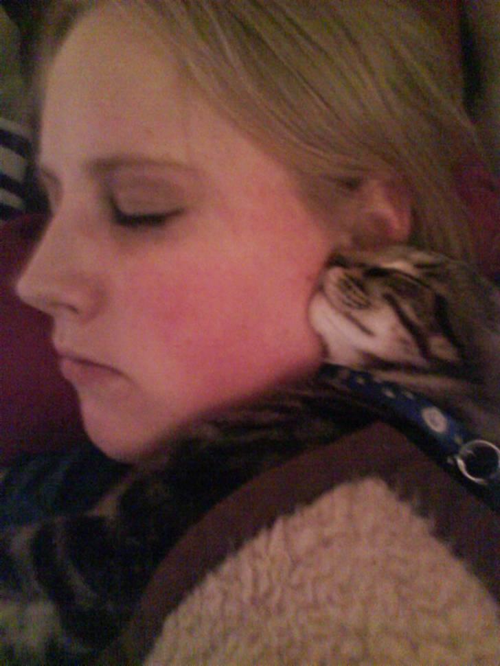 Huskat Sigurd † R.I.P. † billede 14