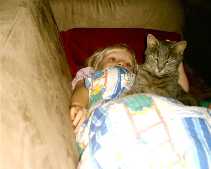 Huskat Misse billede 5