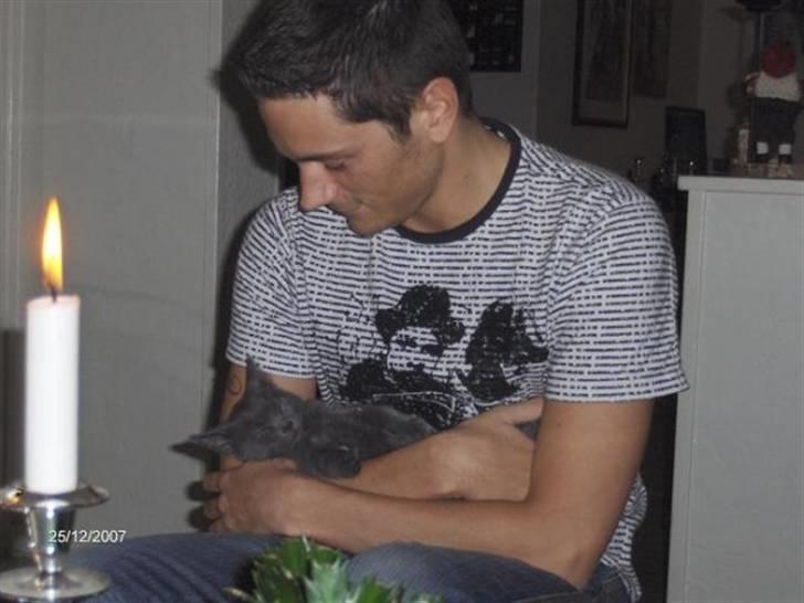 Huskat Victor billede 3