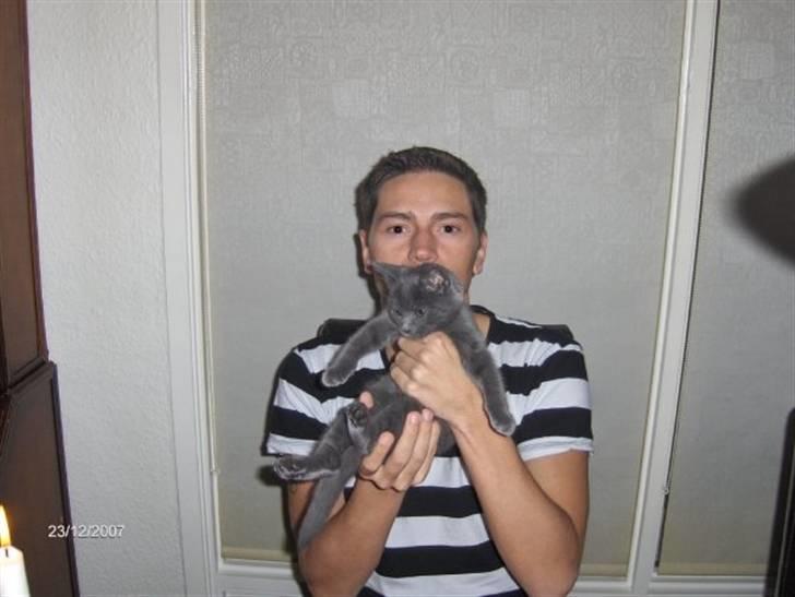 Huskat Victor billede 4