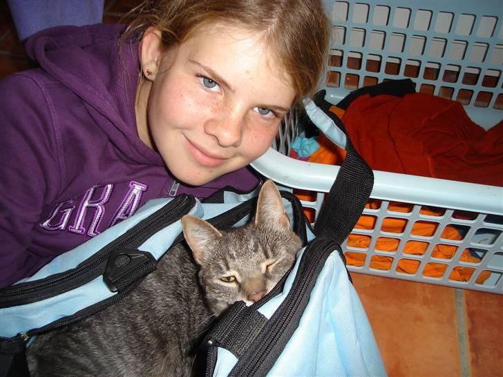 Huskat Gråmis (oude) - min lille mis i idræts-tasken xD (ved godt at jeg ser grim ud xD) billede 2