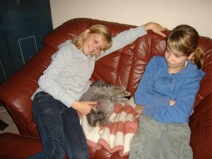 Huskat Gråmis (oude) - mine to veninder og gråmis xD billede 3