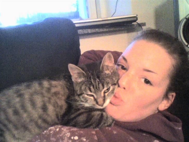 Huskat Lui - Lui sover på mor billede 17