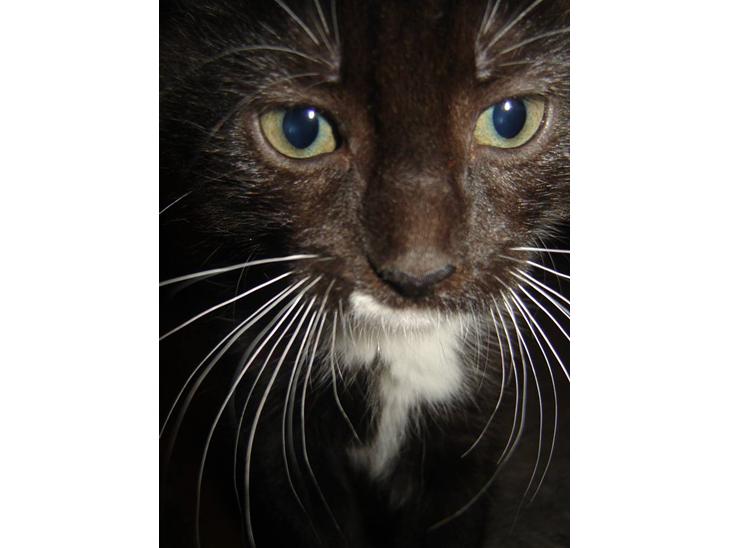 {{currentPhoto.altText}} billede {{currentPhoto.number}}