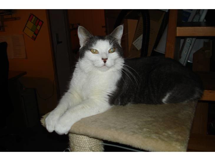 {{currentPhoto.altText}} billede {{currentPhoto.number}}