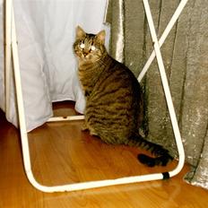 Huskat Miver ¤Himmel missen¤