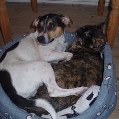 Blanding af racer Malou