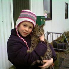 Blanding af racer Strit