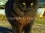 Huskat Tot - - »Foto: Mig selv