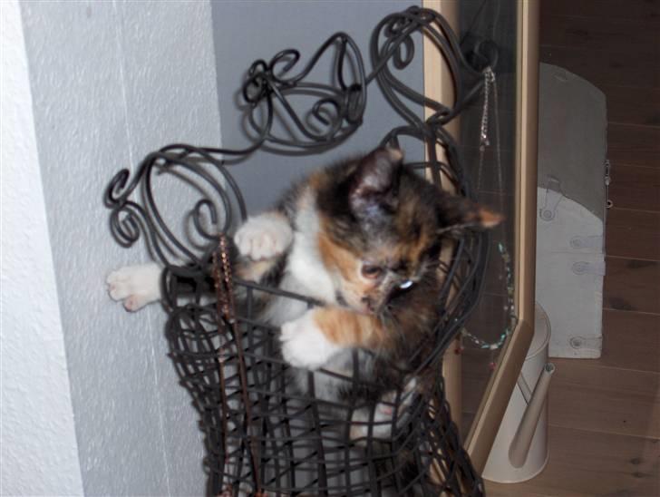 Huskat Sif - Her leger jeg med mor smykke stativ billede 2