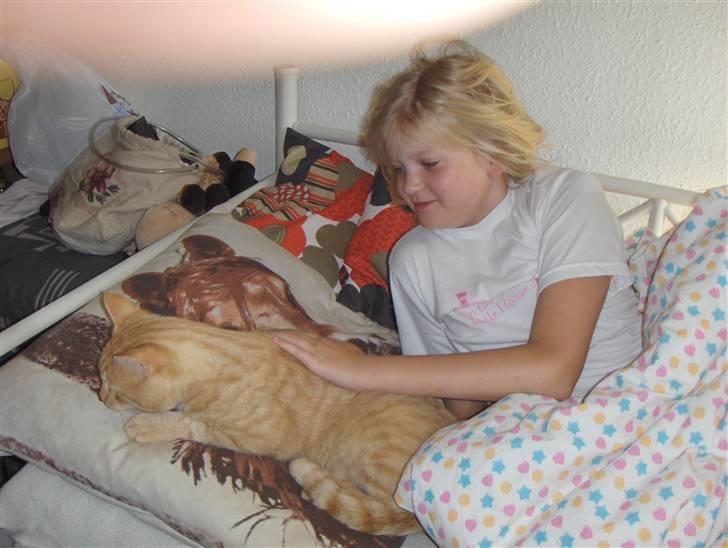 Huskat Eigil<3 - hehe nu er det ham der sover billede 13