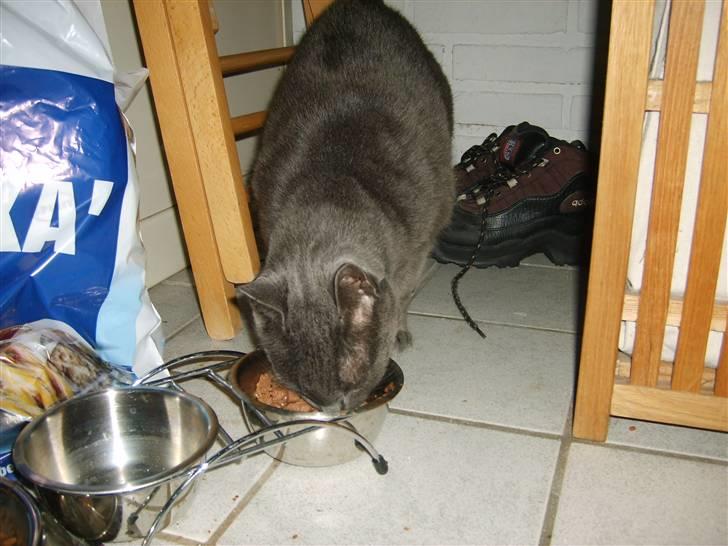 Blanding af racer Tulle <3 - MmMm .. Mad :) lækkert  billede 19